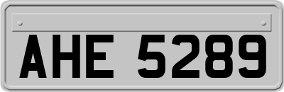 AHE5289
