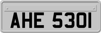 AHE5301