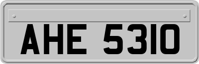 AHE5310