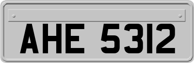 AHE5312
