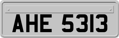 AHE5313