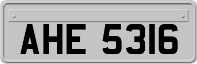 AHE5316