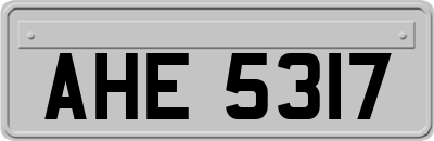 AHE5317