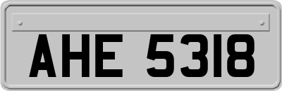 AHE5318