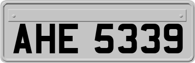 AHE5339