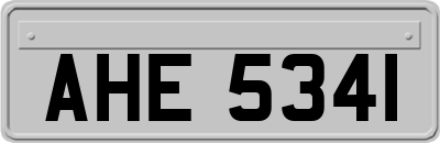 AHE5341