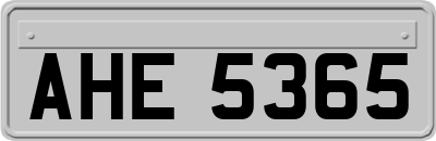 AHE5365