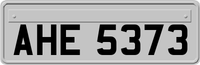 AHE5373