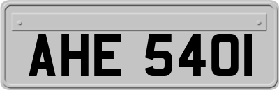 AHE5401
