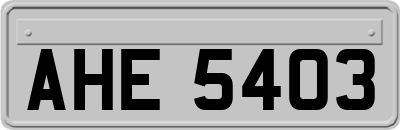 AHE5403