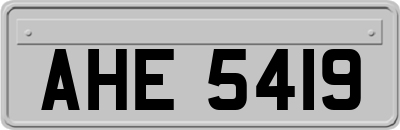AHE5419