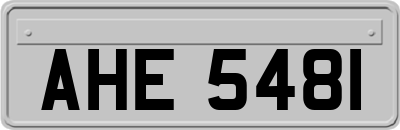 AHE5481