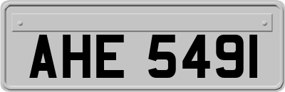 AHE5491
