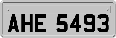 AHE5493