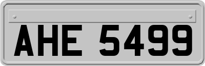 AHE5499