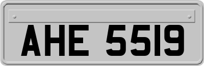 AHE5519