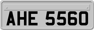 AHE5560