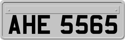 AHE5565