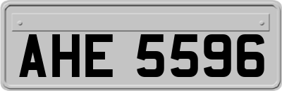 AHE5596