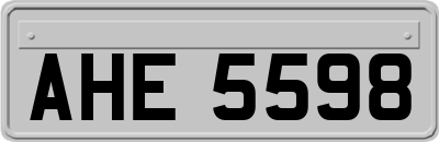 AHE5598