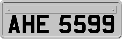 AHE5599