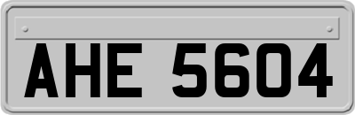 AHE5604