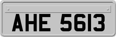 AHE5613
