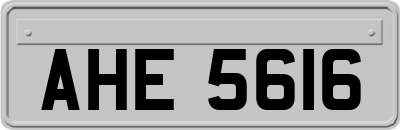 AHE5616