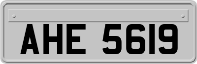 AHE5619