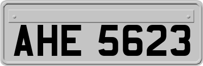 AHE5623