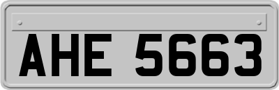 AHE5663