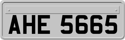 AHE5665