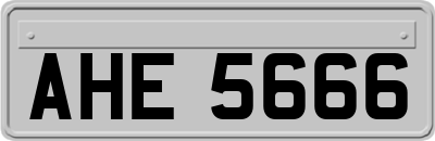 AHE5666