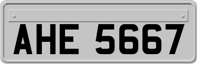 AHE5667