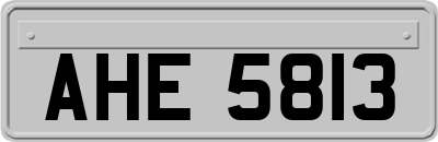 AHE5813