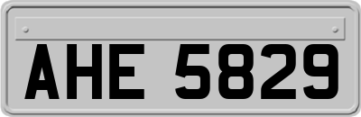AHE5829