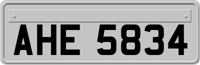 AHE5834