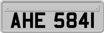 AHE5841