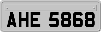 AHE5868