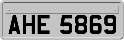 AHE5869