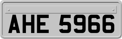 AHE5966