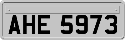 AHE5973