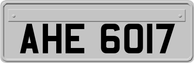 AHE6017