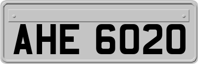 AHE6020
