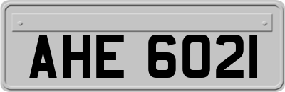 AHE6021