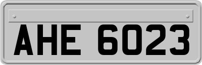 AHE6023