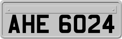 AHE6024