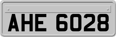 AHE6028