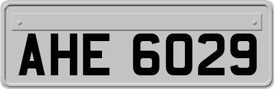 AHE6029