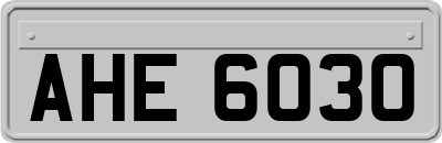 AHE6030